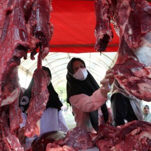 Kenali khasiat daging sapi untuk imun, otot, dan kesehatan tulang