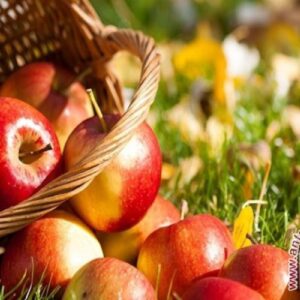 8 buah ini dapat bantu menjaga kesehatan lambung