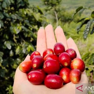 Ini 10 buah yang bisa turunkan asam urat secara alami
