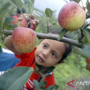 8 buah yang bisa redakan demam tinggi secara alami