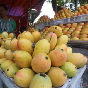 7 buah kaya antioksidan untuk jaga kesehatan dan cegah penyakit kronis