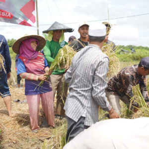 Dorong Transformasi Pertanian, Kementan Perkuat Kelembagaan Petani Melalui Korporasi