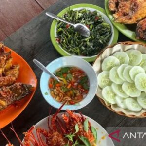 Daftar makanan pencegah stroke: Dari minyak zaitun hingga susu