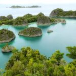 5 Penguasa Tambang Nikel di Raja Ampat, Ada Konglomerat China, BUMN hingga Perusahaan Hantu