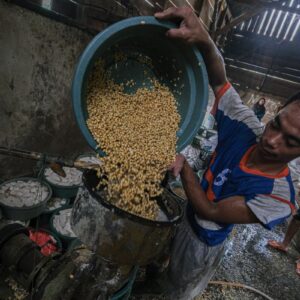 Cara membuat tempe kedelai tradisional yang berkualitas dan lezat