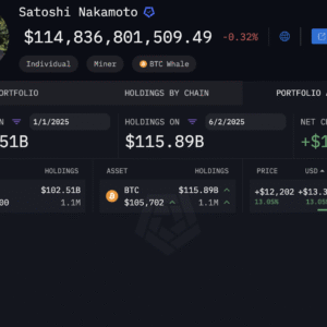 Seberapa Kaya Satoshi Nakamoto Bitcoin? Penelusuran Mendalam ke dalam Wallet Misterius