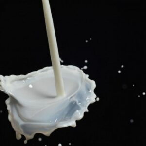 10 manfaat susu unta bagi kesehatan tubuh yang jarang diketahui