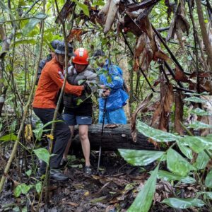 Panduan lengkap tangani hipotermia: Pencegahan dan pertolongan pertama