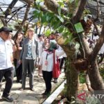 Harga tiket masuk & jam operasional Kebun Raya Bogor 2025