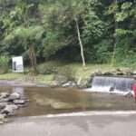 Info baru: Harga tiket masuk & jam operasional Kebun Raya Cibodas 2025