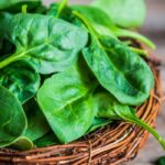 Berapa lama sayur bayam bertahan setelah dimasak? Ini penjelasannya