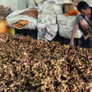 7 manfaat rebusan lengkuas untuk kesehatan tubuh yang perlu diketahui
