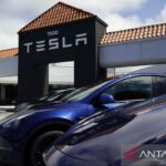 Penjualan Tesla di Jerman anjlok 60 persen pada Juni 2025