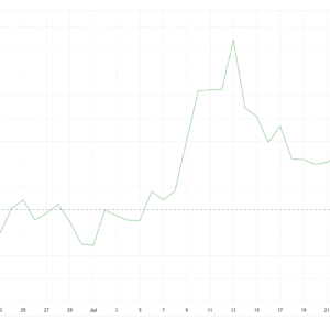 Stellar Menghadapi Peningkatan Arus Keluar – Apakah Harga XLM Berisiko?